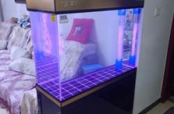 赤峰魚馬桶改裝電話多少啊