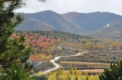 赤峰市開花廠電話號碼查詢