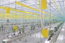 赤峰定制營養(yǎng)土廠家電話號碼