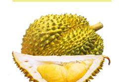 赤峰同城賣榴蓮電話號(hào)碼多少