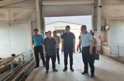 赤峰街道獸醫(yī)站站長(zhǎng)電話號(hào)碼