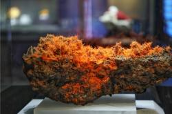 赤峰雙華螢石展覽館電話號(hào)碼