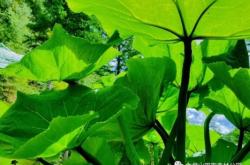 赤峰綠色森林健身房電話號碼