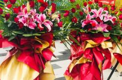 赤峰網(wǎng)絡(luò)花店電話號(hào)碼查詢是多少