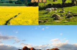 赤峰市旅游接待中心電話號(hào)碼