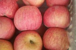 赤峰散貨冷庫(kù)電話號(hào)碼多少號(hào)