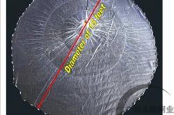 赤峰魚(yú)網(wǎng)廠批發(fā)電話號(hào)碼多少