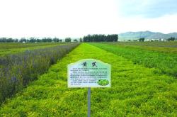 赤峰到牛家營(yíng)子小車電話號(hào)碼