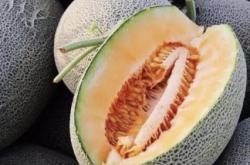 赤峰蔬果批發(fā)市場(chǎng)電話號(hào)碼