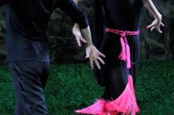 赤峰市雅麗舞蹈學(xué)校電話號(hào)碼