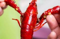 赤峰市烤羊店電話(huà)地址查詢(xún)