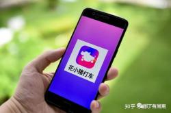 赤峰跑花小豬公司電話號碼