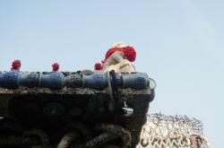 赤峰花板造紙廠電話號(hào)碼