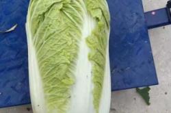 赤峰收干白菜的電話(huà)地址是多少