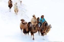 通遼到赤峰最新拼車電話號碼