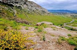 赤峰巴林左旗有花店電話嗎多少