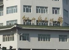 赤峰寵物行業(yè)加盟店電話號碼