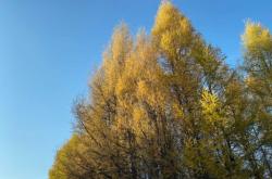 赤峰楊樹營站電話號(hào)碼查詢