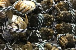 赤峰八爪魚海鮮飯店電話號碼