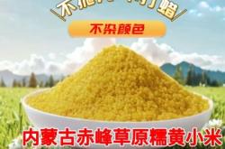 赤峰黃蓉紋繡店地址電話號(hào)碼