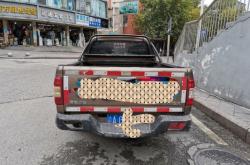 赤峰市賣車皮卡電話號(hào)碼