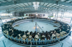 赤峰蒙帝紋繡店電話號(hào)碼