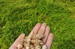 赤峰哪里有批發(fā)螺絲的