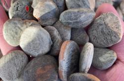 赤峰木仁慧谷酒店電話號(hào)碼