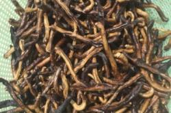 收購(gòu)蚯蚓電話