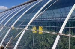 赤峰賣地膜廠家電話號碼