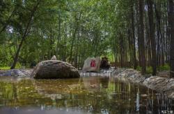 赤峰市順豐客服電話是多少