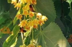 赤峰市松山區(qū)富龍熱力電話(huà)