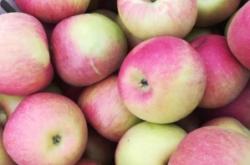 赤峰城蘋果專賣店電話號碼