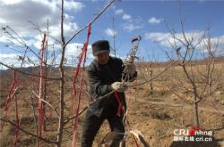 赤峰小城子農(nóng)資電話號碼查詢