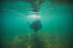 赤峰橋北水族館地址電話號(hào)碼