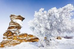 赤峰洪風(fēng)馬術(shù)館電話地址查詢