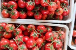 赤峰大廟粉果店電話多少號(hào)