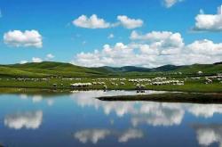 赤峰林西莜面飯店電話號碼