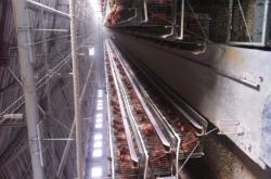 赤峰批發(fā)雞蛋電話多少號(hào)碼