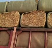 赤峰牧草批發(fā)電話號碼多少