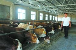 赤峰馬車(chē)出租電話號(hào)碼是多少號(hào)