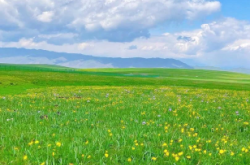 赤峰黨建公園地址電話號(hào)碼