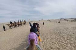 大連到赤峰大巴車多少錢