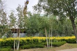 赤峰摩爾城有住宅嗎電話號碼