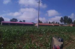 赤峰市敖漢旗長生鎮(zhèn)電話號碼