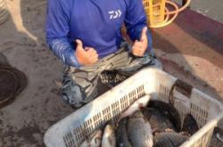 赤峰斗魚擺攤電話多少號碼