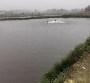 赤峰觀賞魚苗批發(fā)電話號(hào)碼