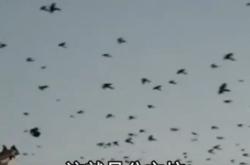 內(nèi)蒙赤峰鞭炮廠電話多少號