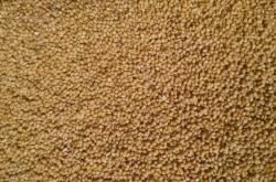 赤峰護(hù)膚品制造商電話號碼