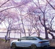 赤峰小鵬出售電話是多少號